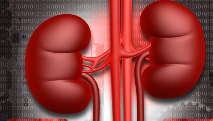 红细胞|肾病是否好转如何判断？8个信号是标准，肾功能好坏一目了然