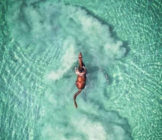 冥想|青马课堂：马术心理学，骑马过程中如何进行情绪管理？