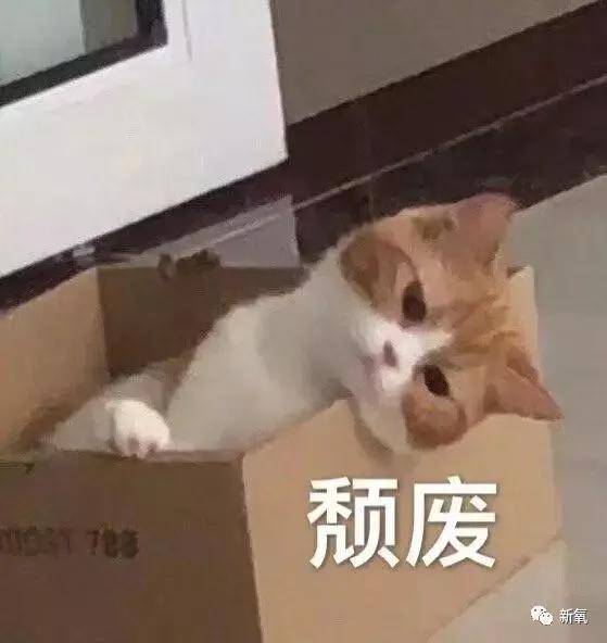 电影 怪马思纯的那些人，是看了和田惠美过去的作品吗？