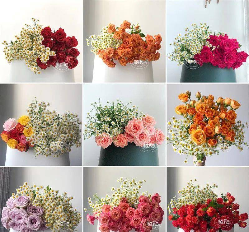 洋甘菊 田野清风 插花