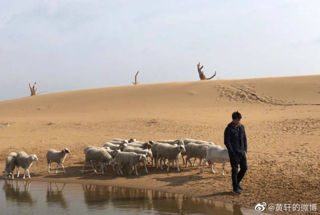 乌海|?“《乌海》可能会是我拍的最残酷的电影” | 对话导演周子陽