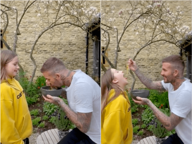 颜色 贝克汉姆女儿越长越美，穿衣时尚精致如公主，气质像妈脸像爸