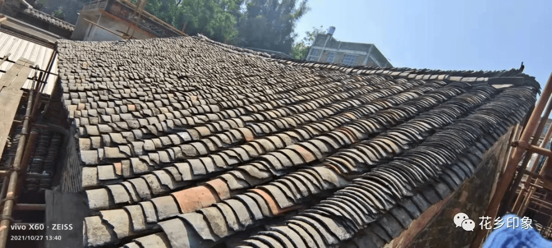 花屋修缮中 古屋焕新貌 山花 全网搜