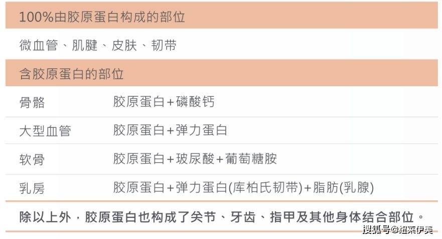 人体《永恒族》上映好莱坞性感女神安吉丽娜·朱莉瘦脱了相，胶原蛋白补起来！