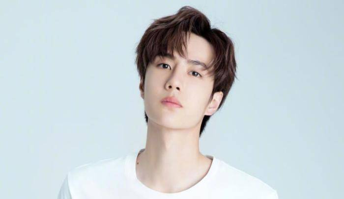 家族|退出《天天向上》后，王一博将加盟这档综艺，看到嘉宾粉丝心安了