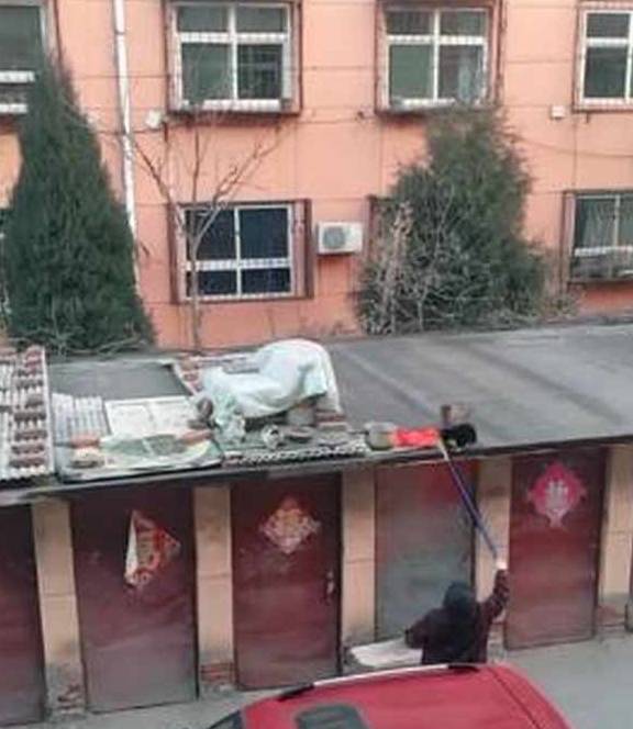 什么冻手就该揣兜，动物们都开始“农民揣”了
