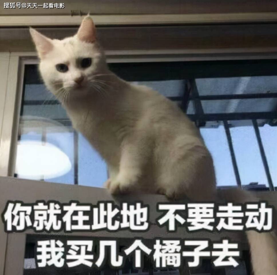 因为|人气车模不爱男人爱上车，事后意外怀孕，为隐瞒用发簪捅杀胎儿