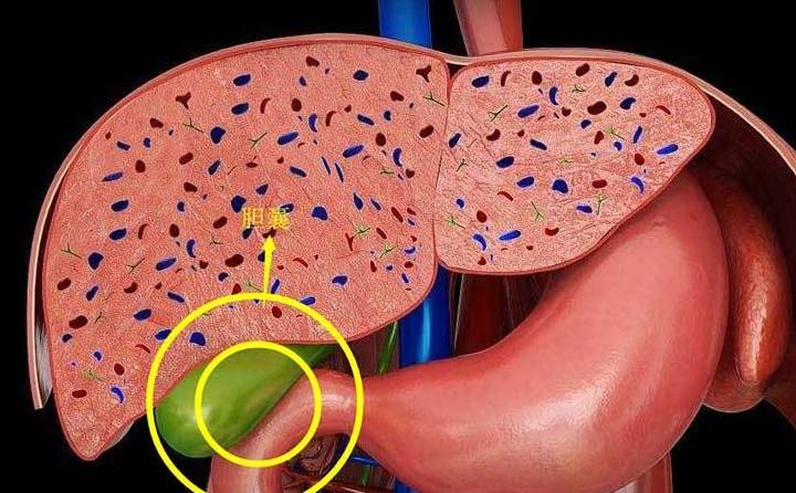 转氨酶|乙肝大三阳，通过治疗转成小三阳，10年没复查，现在肝区隐隐疼