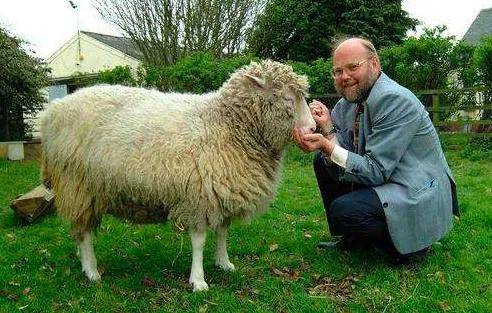 为什么现在很少提克隆了多莉羊的结局或许能给你答案