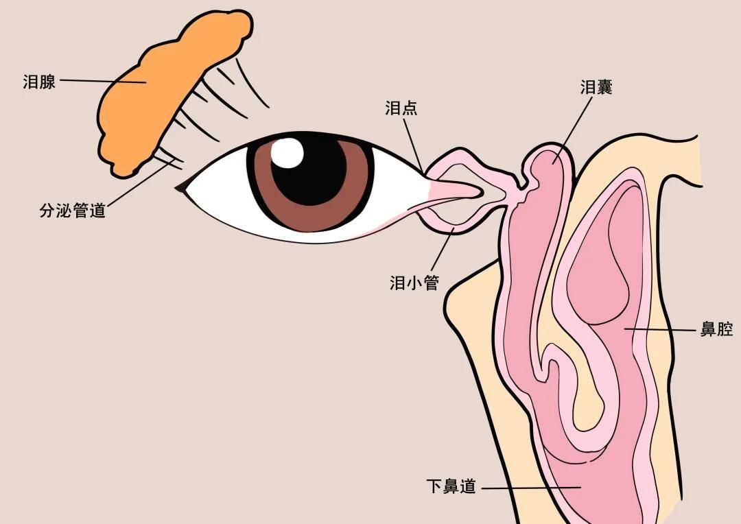什么时候戴隐形眼镜合适 f3588b2eb1b0468491fbf44e0edda9e9.jpeg