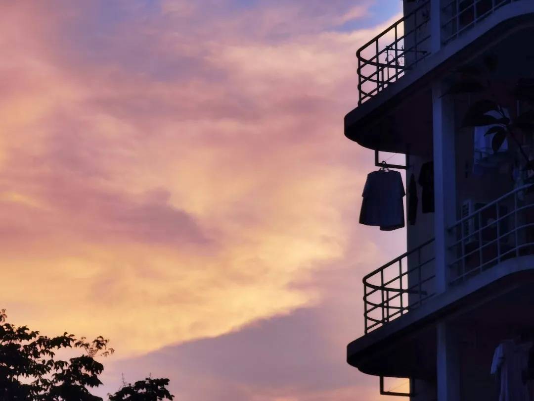 沾蔬 藏在宝山这个校园的秋景“大片”，每一张都是壁纸