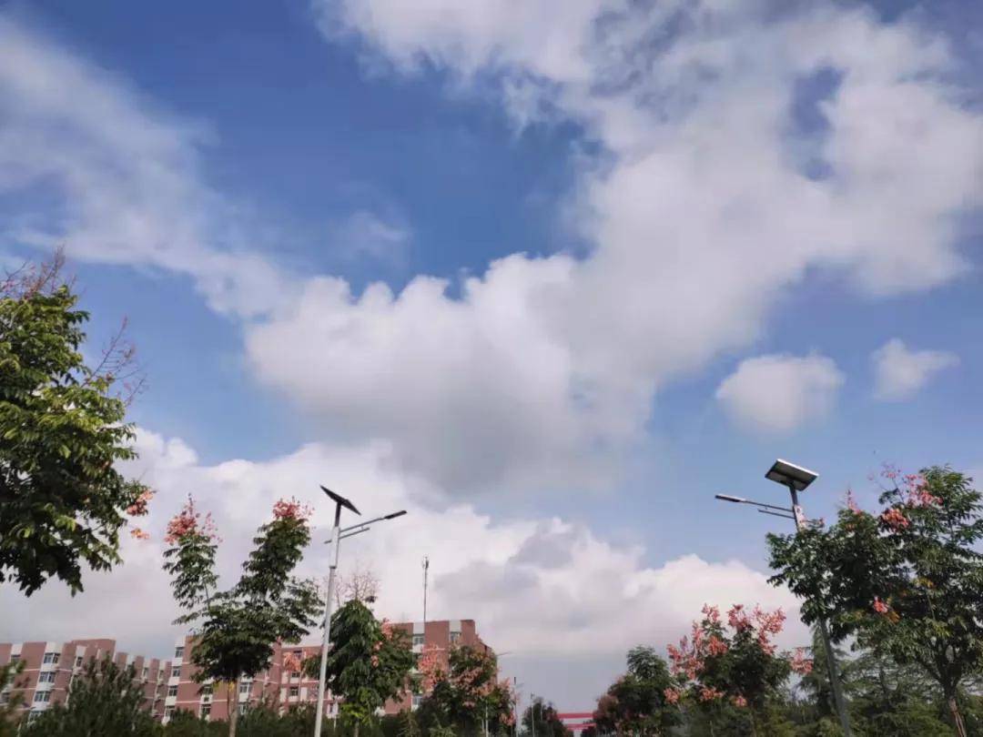 阳光|西安高新科技职业学院校园景色 | 和煦秋日