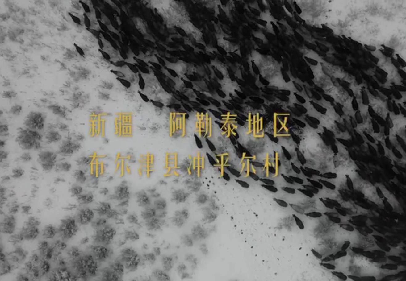 人间|《奇遇人间角落》官宣，嘉宾曝光，周笔畅汪苏泷等人带来温暖治愈