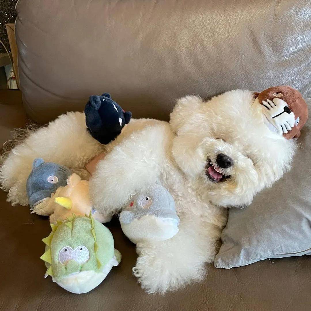 韩国超甜小奶狗爆红网络!眼神勾人,笑起来心都要萌化了!