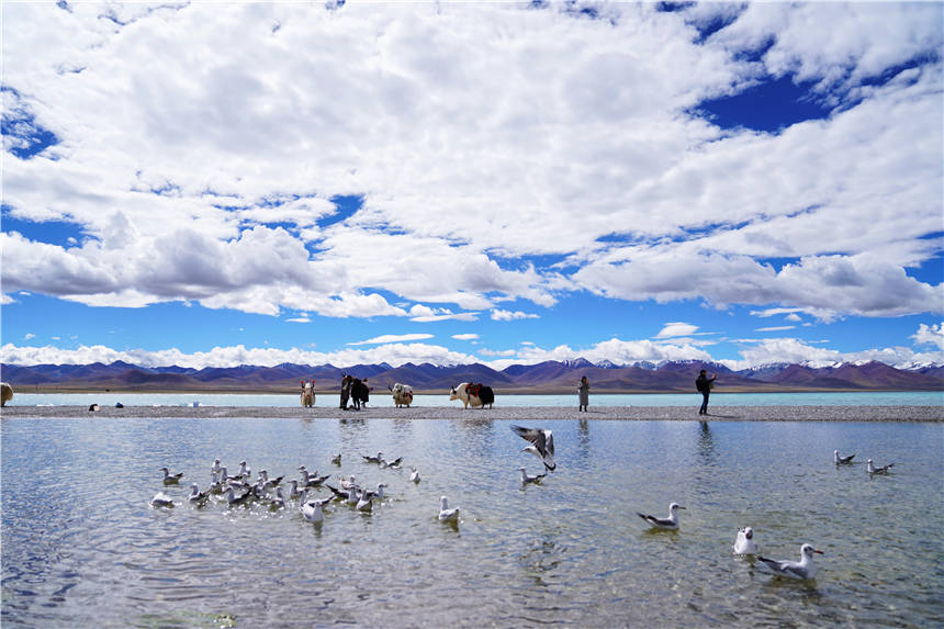 西藏|西藏第二大湖泊，旅游爱好者的梦想之地，晴天美如仙境，值得来！