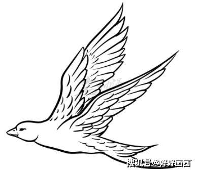 画飞鸟有哪些技巧