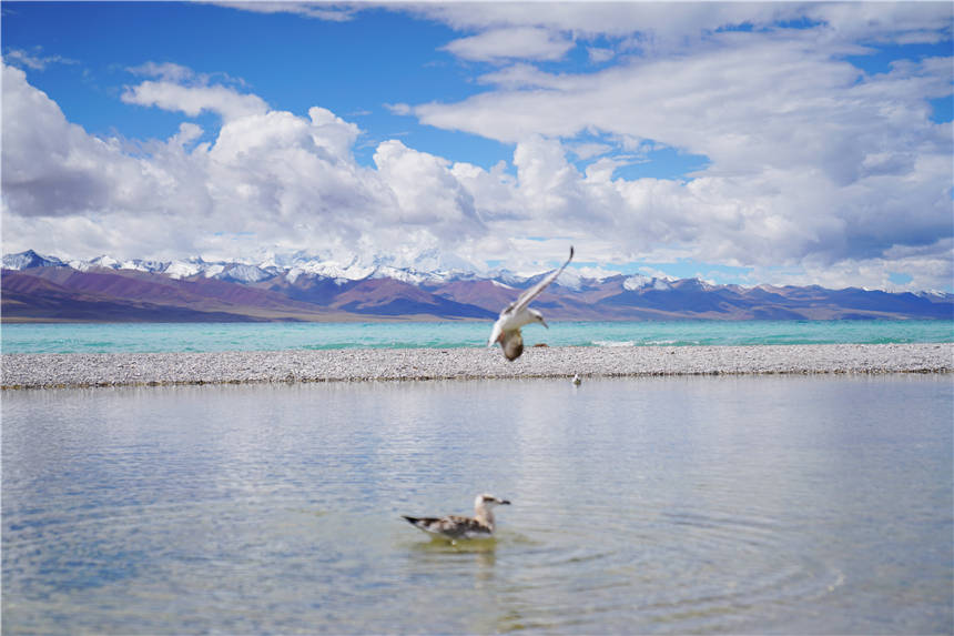 西藏|西藏第二大湖泊，旅游爱好者的梦想之地，晴天美如仙境，值得来！