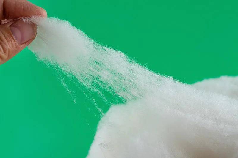 藏文科普植物羊毛棉花的科学世界