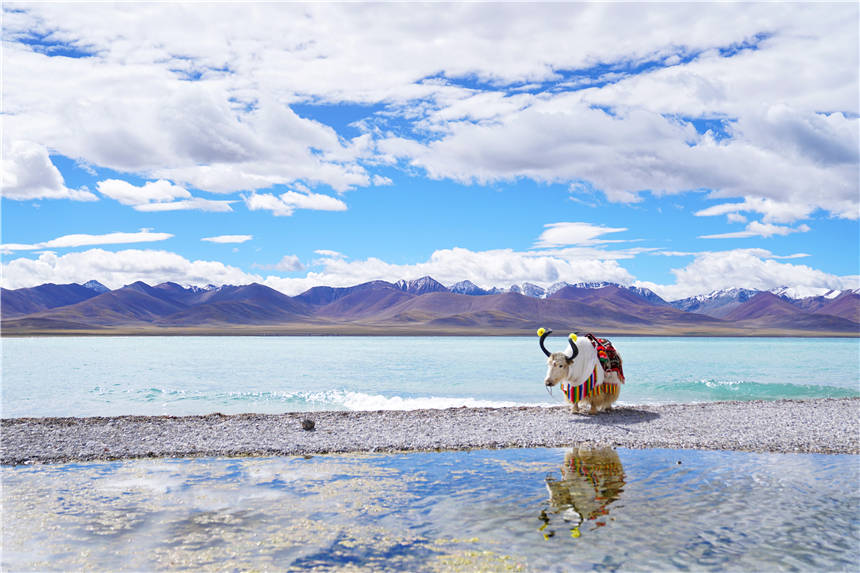 西藏|西藏第二大湖泊，旅游爱好者的梦想之地，晴天美如仙境，值得来！