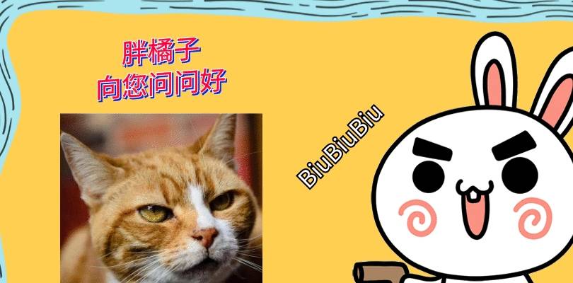 带着猫妈妈大胆带着3个孩子见恩人，本想送走小狸猫，却成全了小黑猫