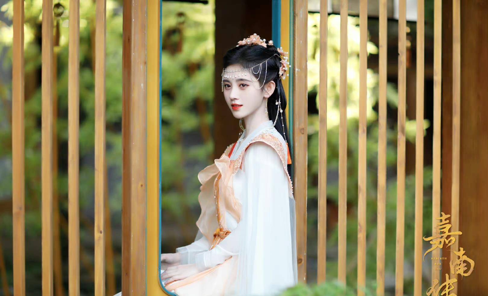 因为|《嘉南传》大结局,庆安登基称帝,赵翌的运气未免太好