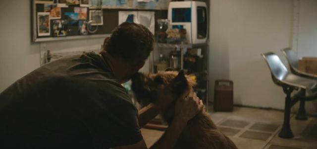 机器人|汤姆·汉克斯2021最新科幻《芬奇》幸存者、机器人和狗的公路狂奔