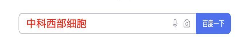 神经系统|中科西部干细胞研究院：干细胞的免疫调节能力拯救“重症肌无力”人群