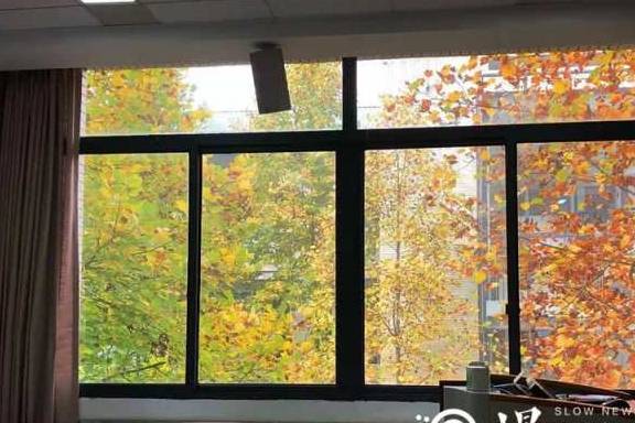 重庆大学1314教室最近火了，“窗内是一生一世，窗外是四季流年”