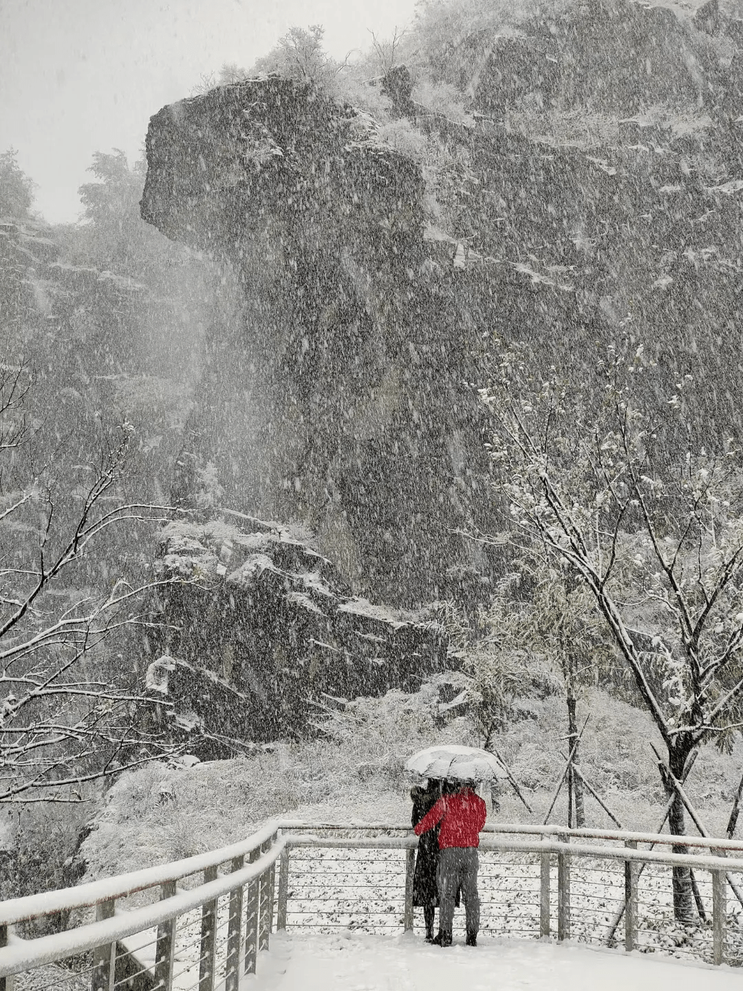 雪花|如约而至！近十年最早初雪光临济南，快收好这份雪景大赏，足不出户看雪映泉城