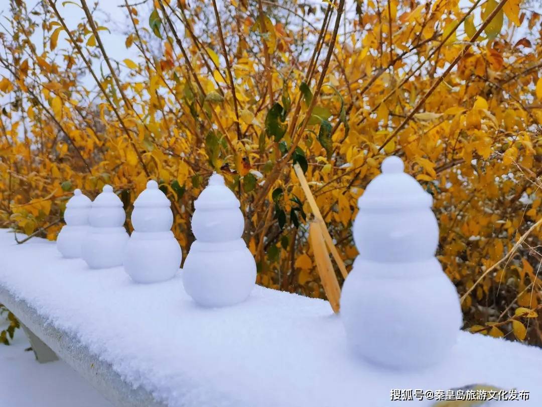 控制|秦皇岛初雪！惊艳四方的美景都在这儿了~