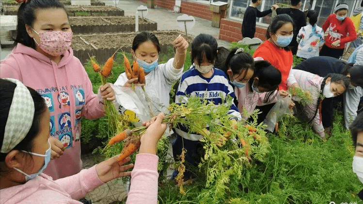 北京印刷學院附屬小學農耕課程促