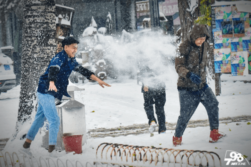 雪花|雪中的798美翻了