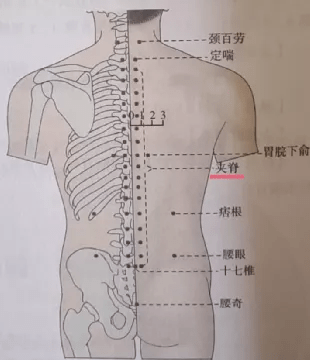 這個穴位調理百病,老人小孩都可以用!_華佗穴