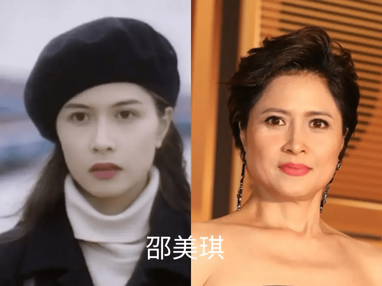 脸部事实证明，明星美貌的天敌不是发福，而是“发腮”啊？