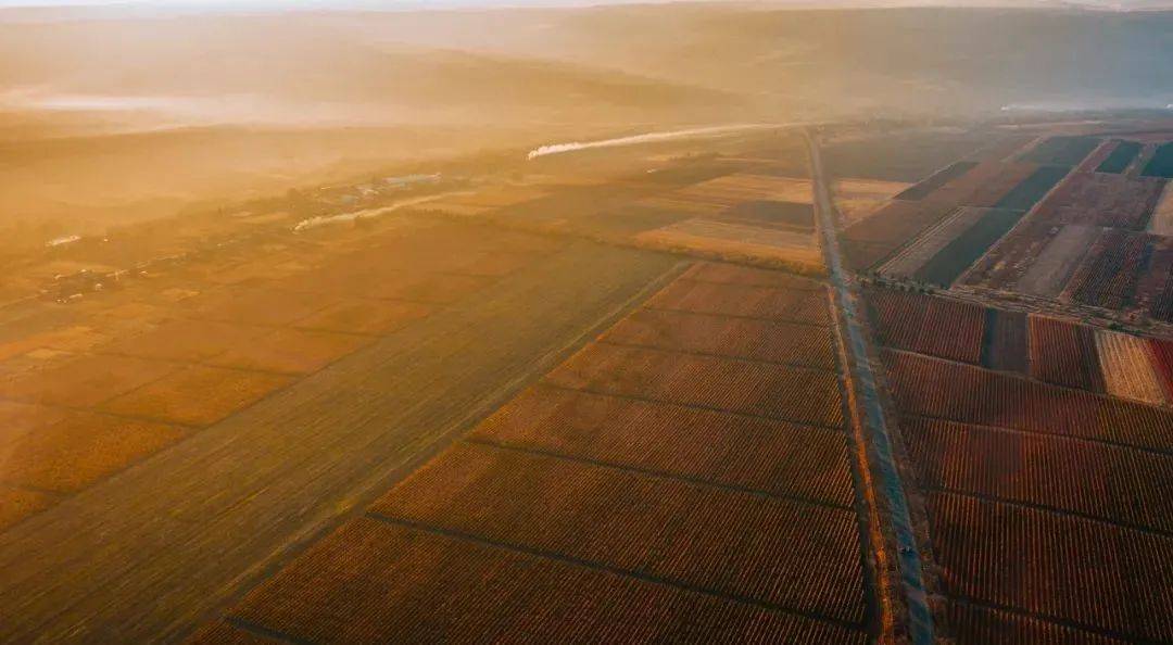 数据|醉新数据 | 摩尔多瓦2021前9个月葡萄酒出口成绩斐然！