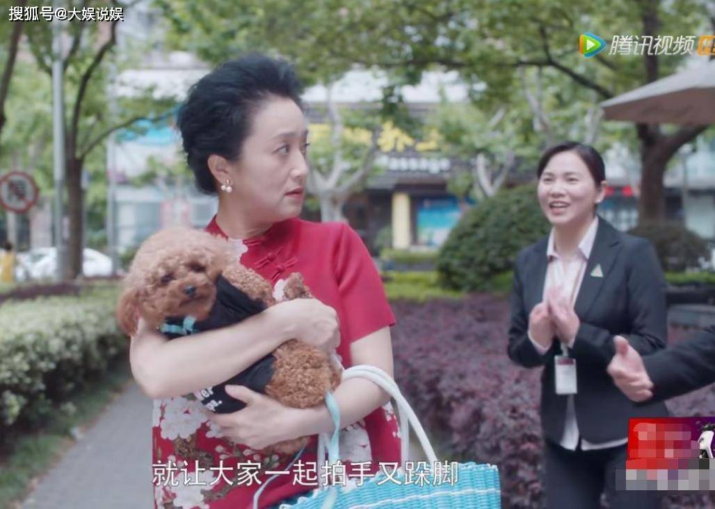 杨昆|娱乐圈5个“恶婆婆”：有人单身35年不婚不育，有人退休金2500元