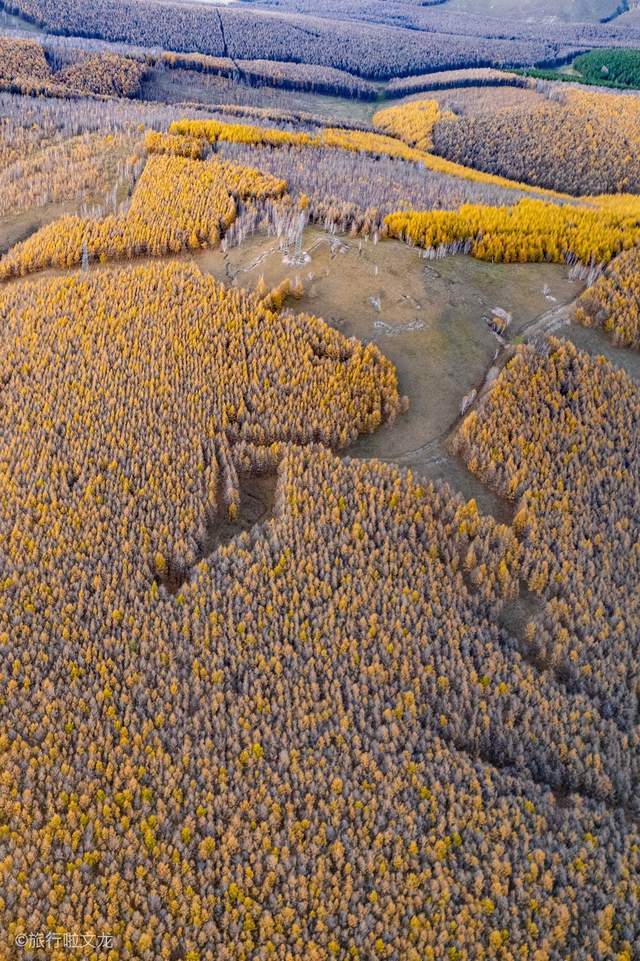 兴安盟|阿尔山的秋色吸引很多人去旅游，阿尔山火车站是一个代表景点