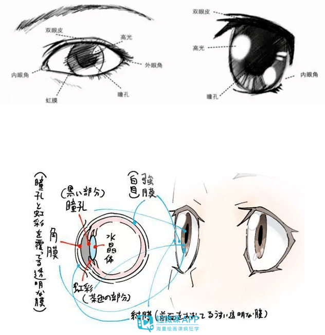 插画眼睛怎么画动漫插画人物眼睛画法