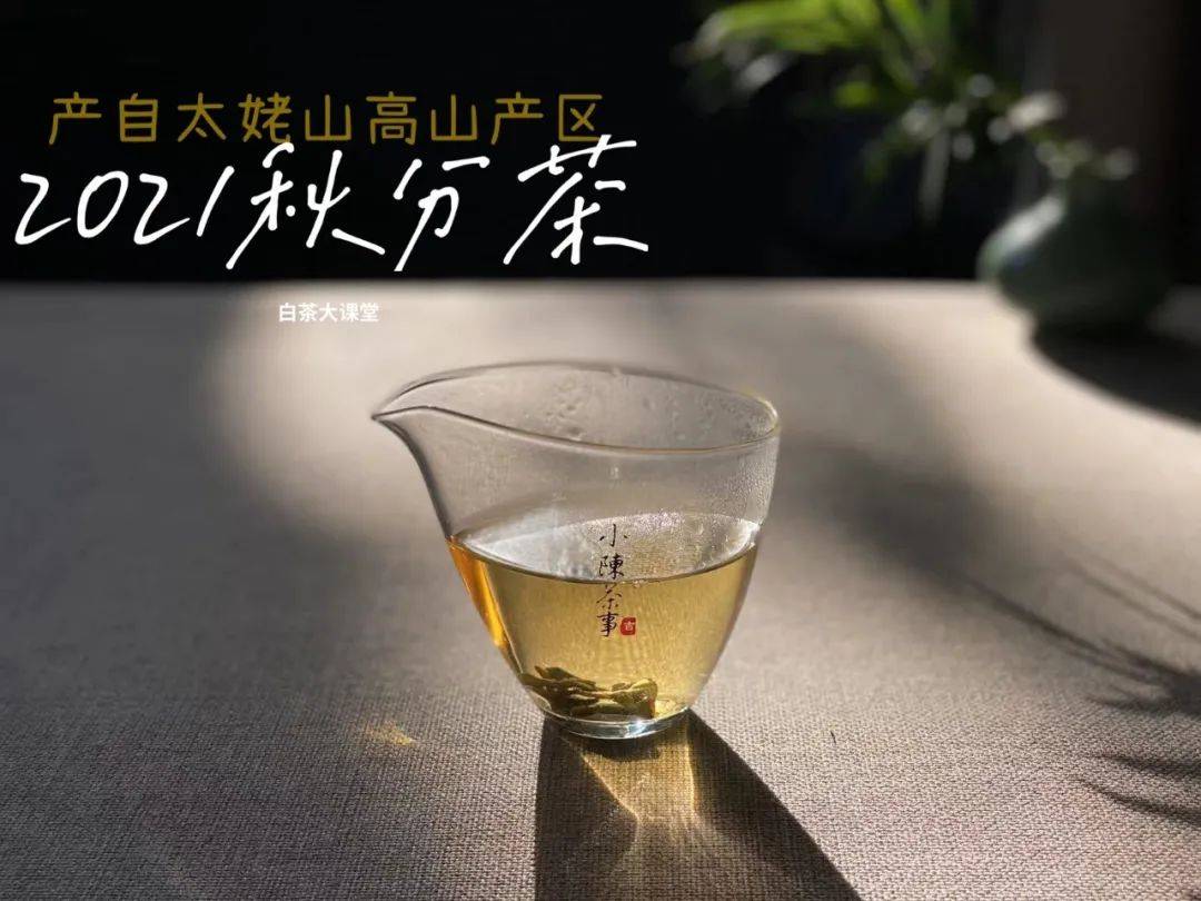 知识科普|为什么说白茶越陈越香，越老越值钱？是销售套路吗？