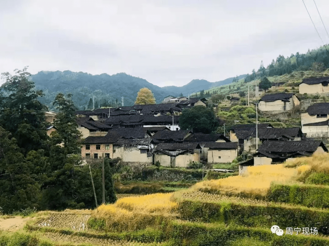 阿忠|漫品祖龙山水｜|郑振木