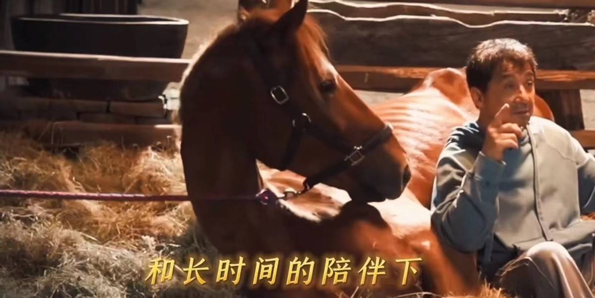 电影|成龙新片一匹马火了！电影杀青大家给它喂蛋糕，大哥还给它擦眼泪