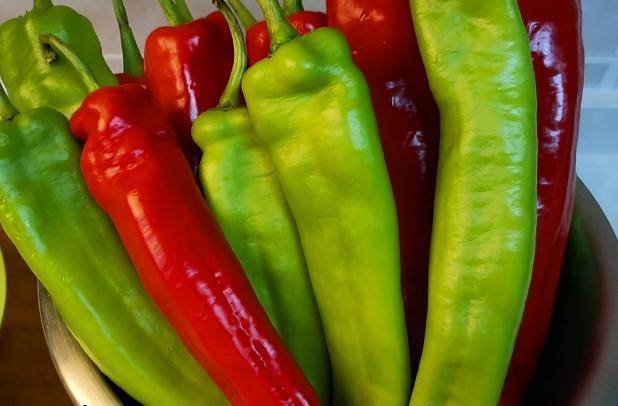 腌辣椒还是这方法好 40几年的老配方秘诀 既简单零失败又入味 妈妈 全网搜