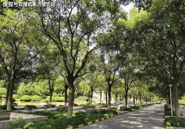 21首页 旭丽花园售楼处电话 上海闵行旭丽花园售楼处位置 24小时电话 闵行区