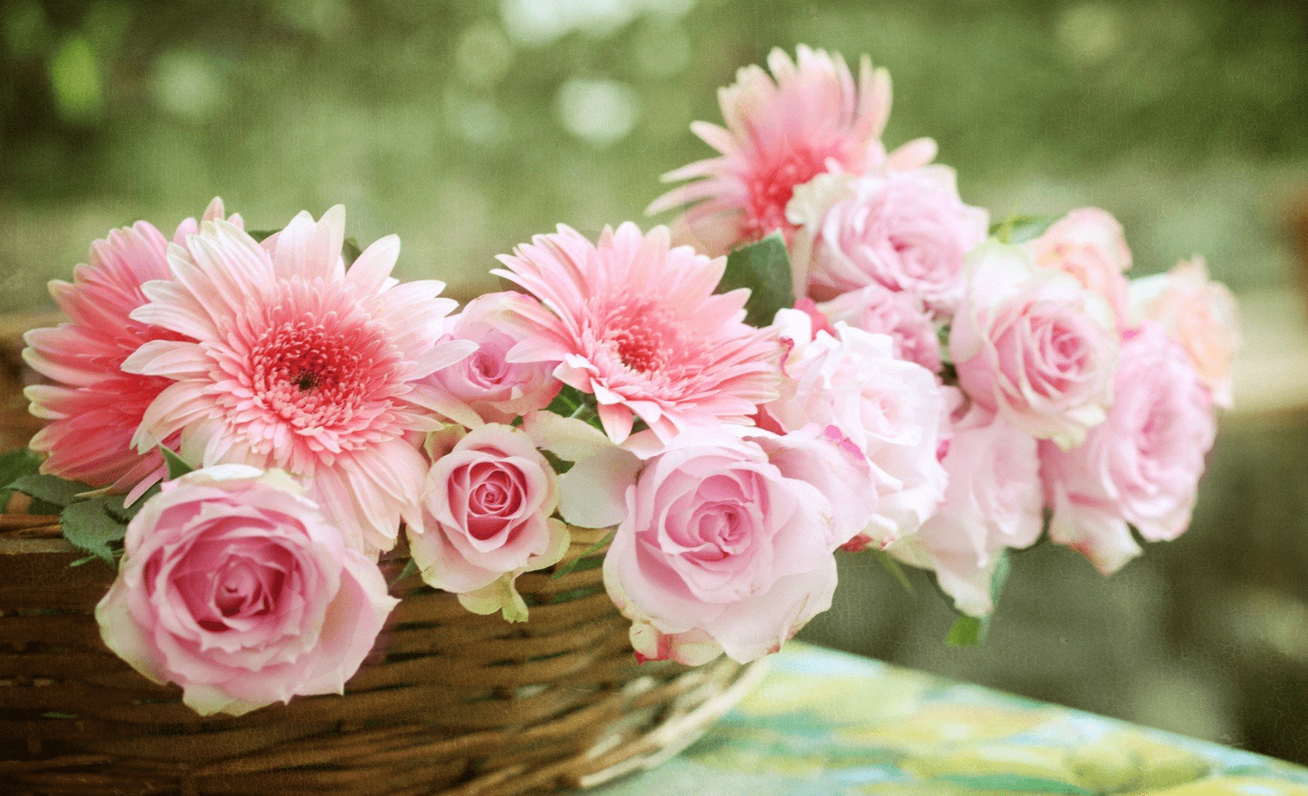 8ca870243add4d30b65cb4d71ac561d2.png