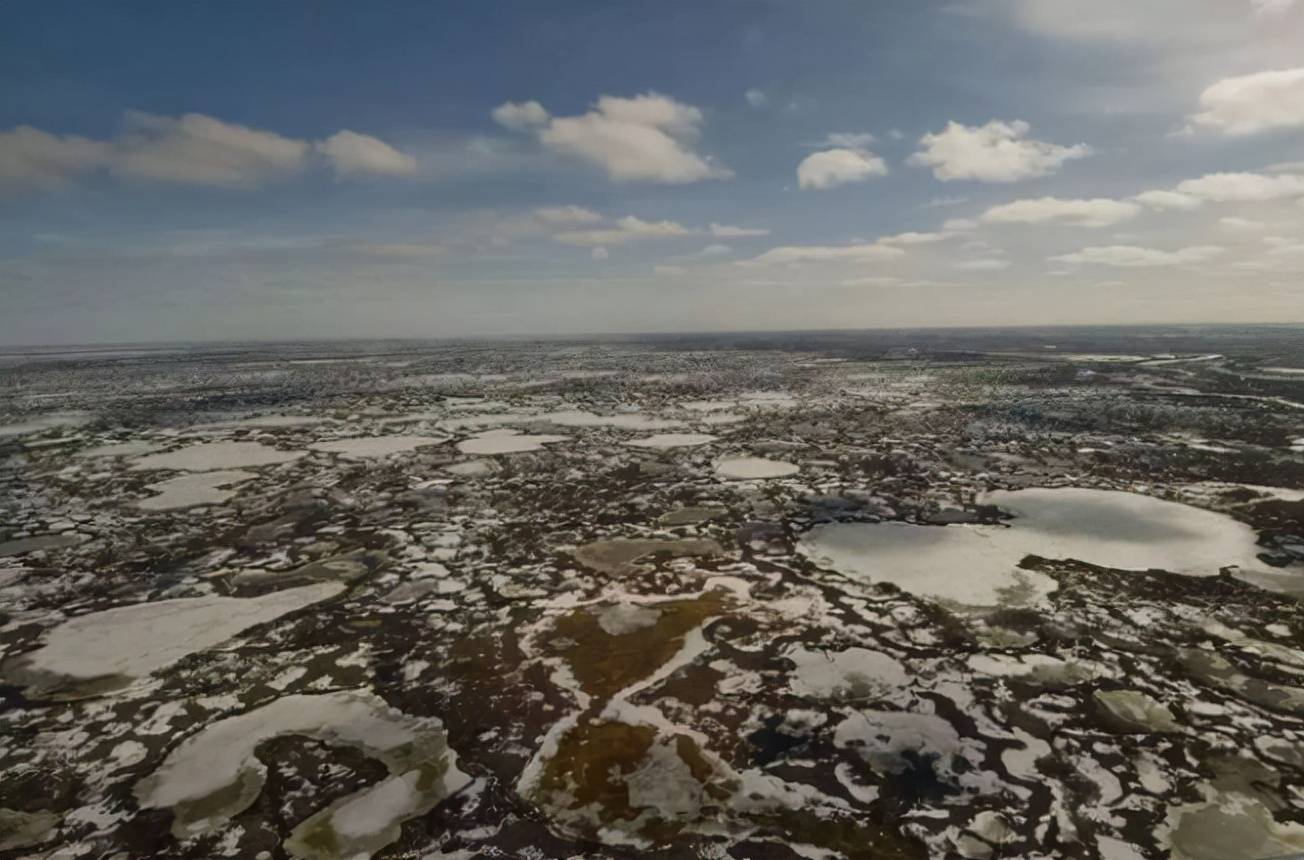 原创北极冻土层迅速融化冰封了42万年的线虫一面世就活了过来