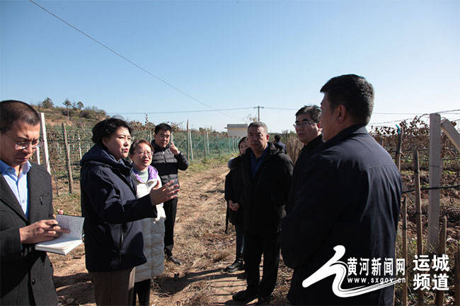 运城市农业农村局调研平陆县农业农村工作