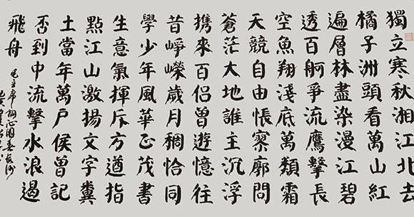 生平履歷楊紹林從小跟於翔鴻學習書法,1952年參加工作,先後在上海美術