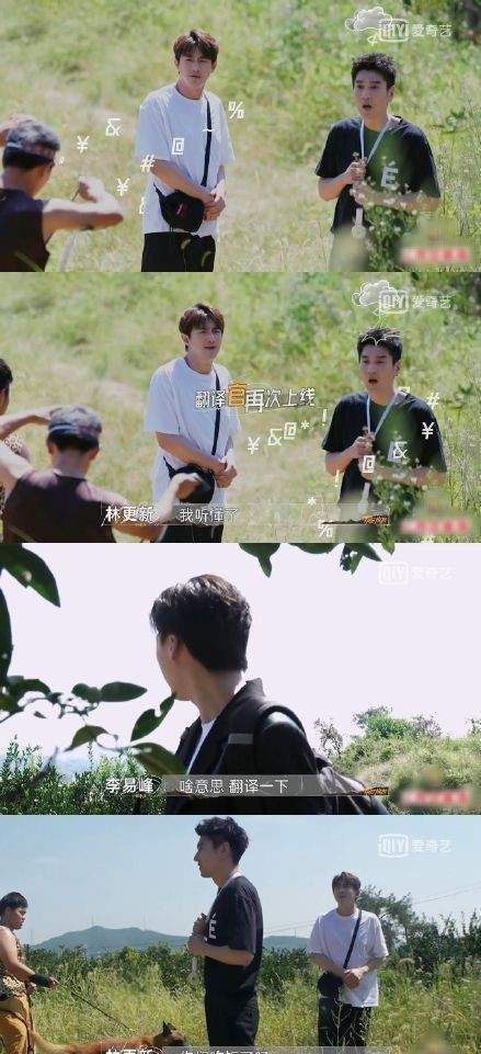 林更新|最后的赢家林更新好难！跑滚轮秒变仓鼠，面对恶犬成狗语十级学者