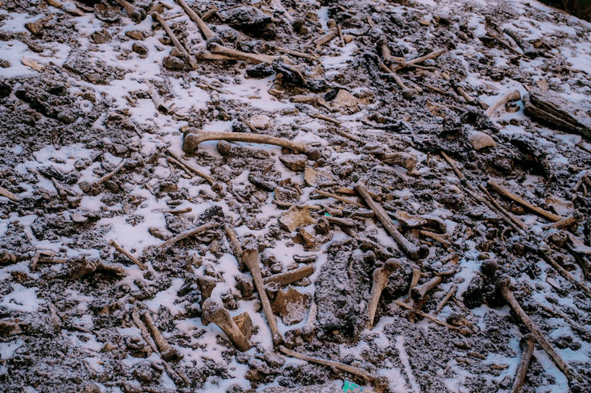 在喜马拉雅山湖底看到数百具遗骸,这些是什么人?