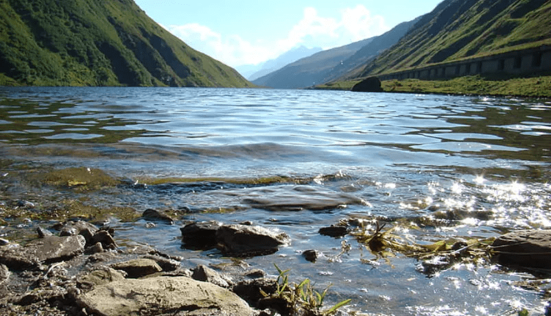 什么|甲友心声——切了这只蝴蝶，我还有很多翅膀